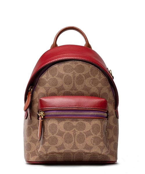 bug pannier backpack